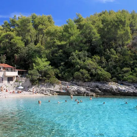 Apartman With Parking Space Zavalatica, Korcula - 14204 Zavalatica